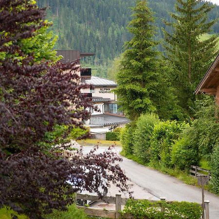 Pension Mozart ヴァークライン エクステリア 写真